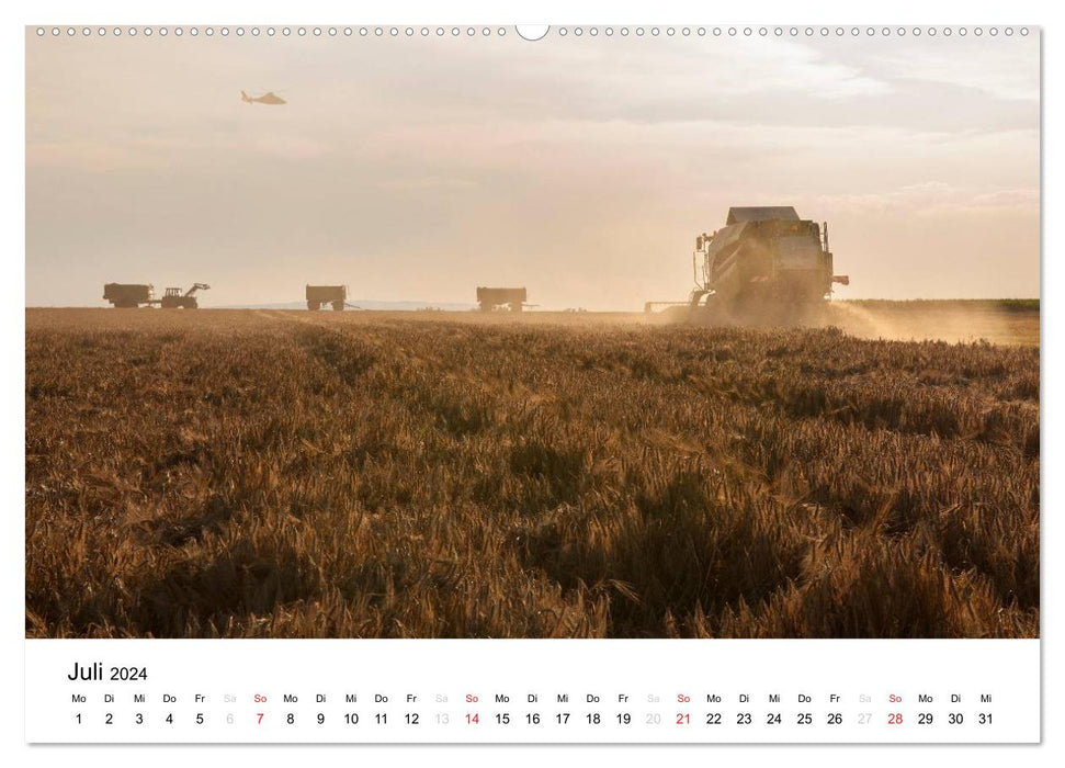Auenland - Bilder aus der Wetterau (CALVENDO Wandkalender 2024)
