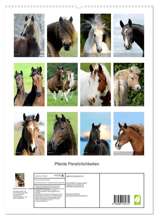 Pferde-Persönlichkeiten - ausdrucksstarke Gesichter verschiedener Pferderassen (CALVENDO Premium Wandkalender 2024)