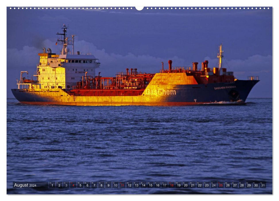 Schiffe kucken (CALVENDO Premium Wandkalender 2024)