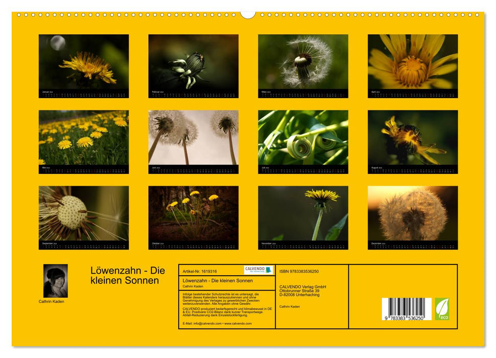 Löwenzahn - Die kleinen Sonnen (CALVENDO Premium Wandkalender 2024)