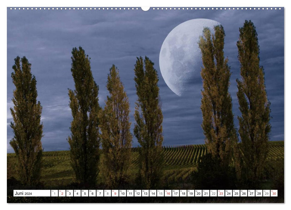 Träume im Mondlicht (CALVENDO Premium Wandkalender 2024)
