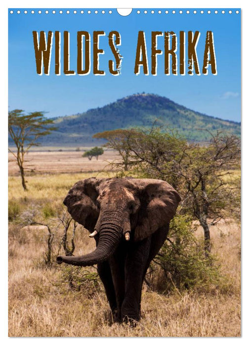 Wildes Afrika (CALVENDO Wandkalender 2024)
