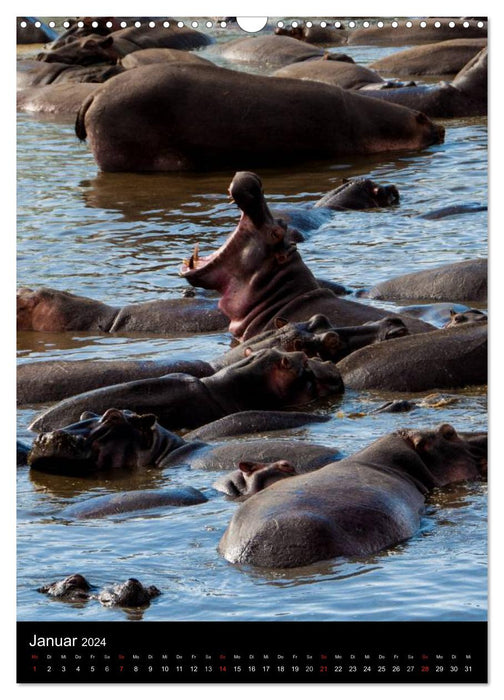 Wildes Afrika (CALVENDO Wandkalender 2024)