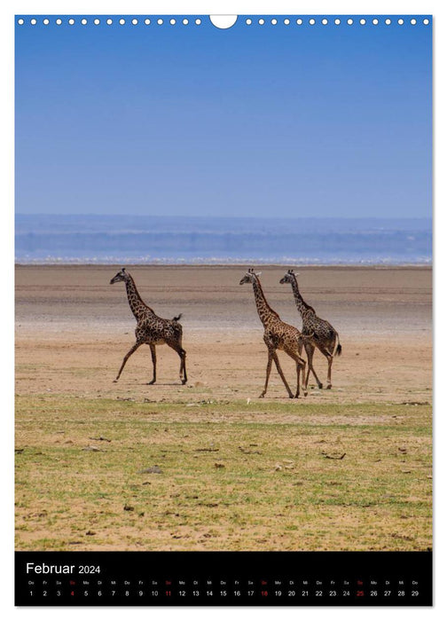 Afrique Sauvage (Calendrier mural CALVENDO 2024) 