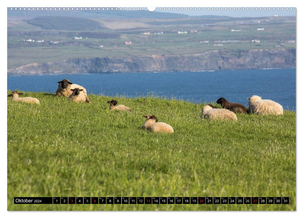 Impressions d'Irlande sud-ouest et ouest (calendrier mural CALVENDO 2024) 