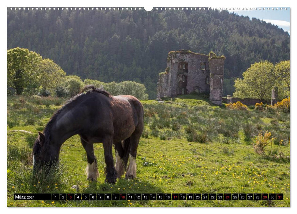 Impressions d'Irlande sud-ouest et ouest (calendrier mural CALVENDO 2024) 