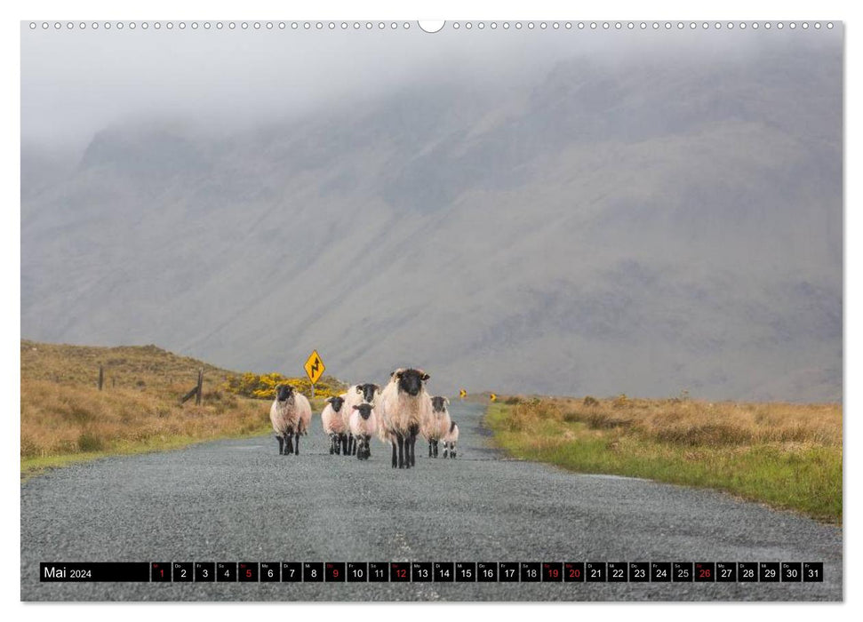 Impressions d'Irlande sud-ouest et ouest (calendrier mural CALVENDO 2024) 