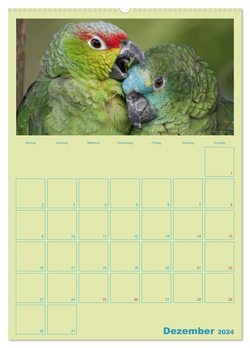 Bird Friendships / Planner (CALVENDO Premium Wall Calendar 2024) 