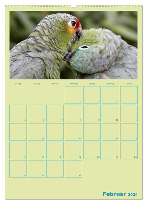 Bird Friendships / Planner (CALVENDO Premium Wall Calendar 2024) 