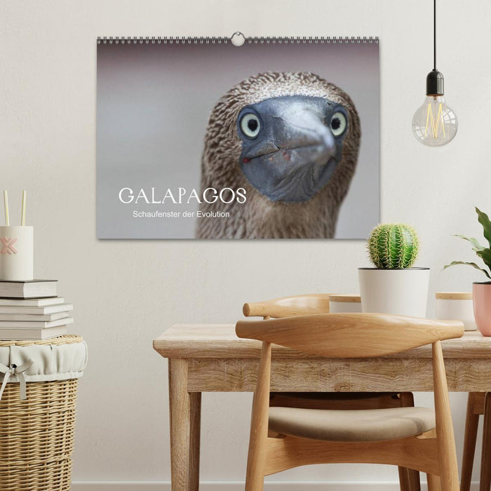 Galapagos (CALVENDO Wandkalender 2024)