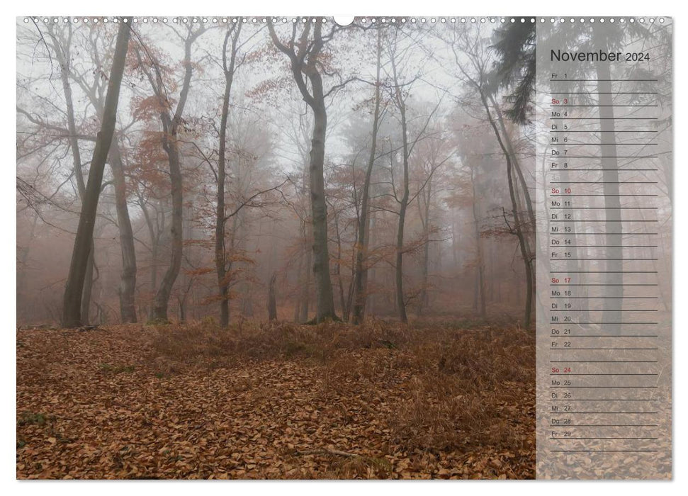 Notre forêt - Vues magiques sur les forêts du nord de l'Allemagne / Calendrier d'anniversaire (CALVENDO Premium Wall Calendar 2024) 