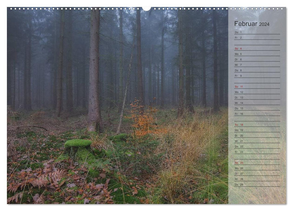 Notre forêt - Vues magiques sur les forêts du nord de l'Allemagne / Calendrier d'anniversaire (CALVENDO Premium Wall Calendar 2024) 