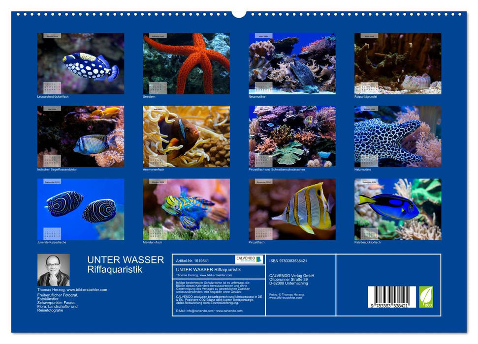 UNDER WATER reef aquariums (CALVENDO Premium Wall Calendar 2024) 