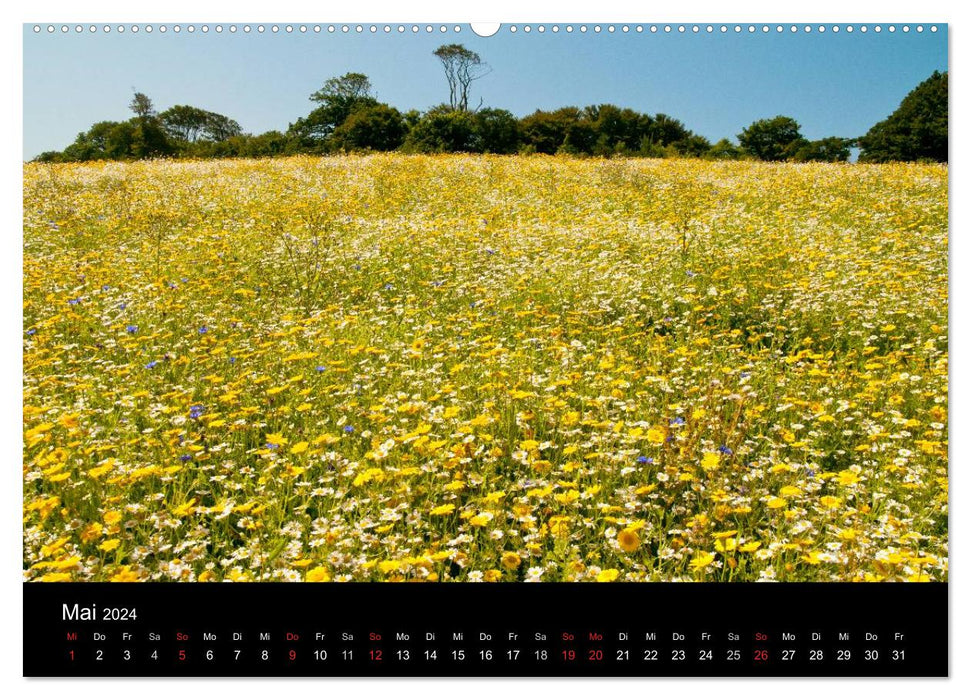 Cornouailles magiques (Calvendo Premium Wall Calendar 2024) 
