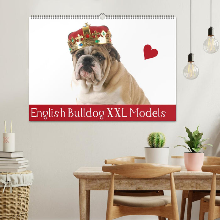 English Bulldog XXL Models (CALVENDO Wandkalender 2024)