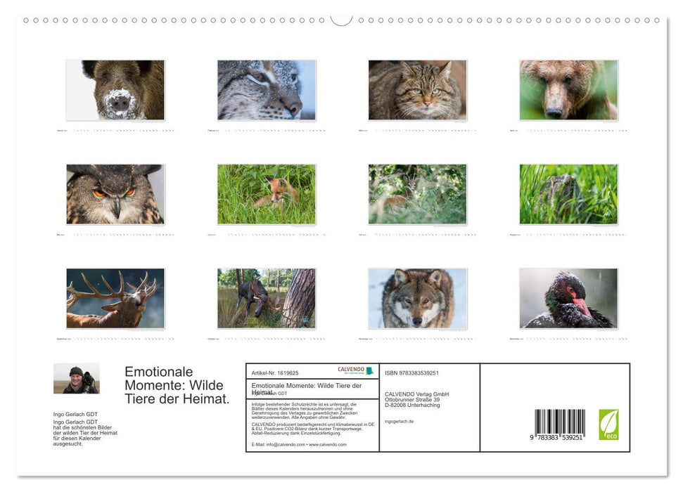 Emotional moments: Wild animals from home. (CALVENDO Premium Wall Calendar 2024) 