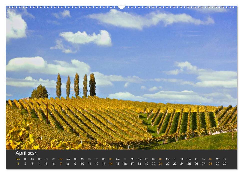 La route des vins du sud de la Styrie (Calvendo Premium Wall Calendar 2024) 