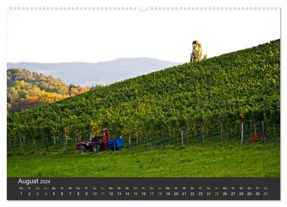Die Südsteirischen Weinstrasse (CALVENDO Premium Wandkalender 2024)