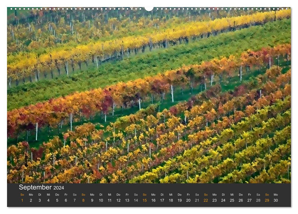 The South Styrian Wine Route (CALVENDO Premium Wall Calendar 2024) 