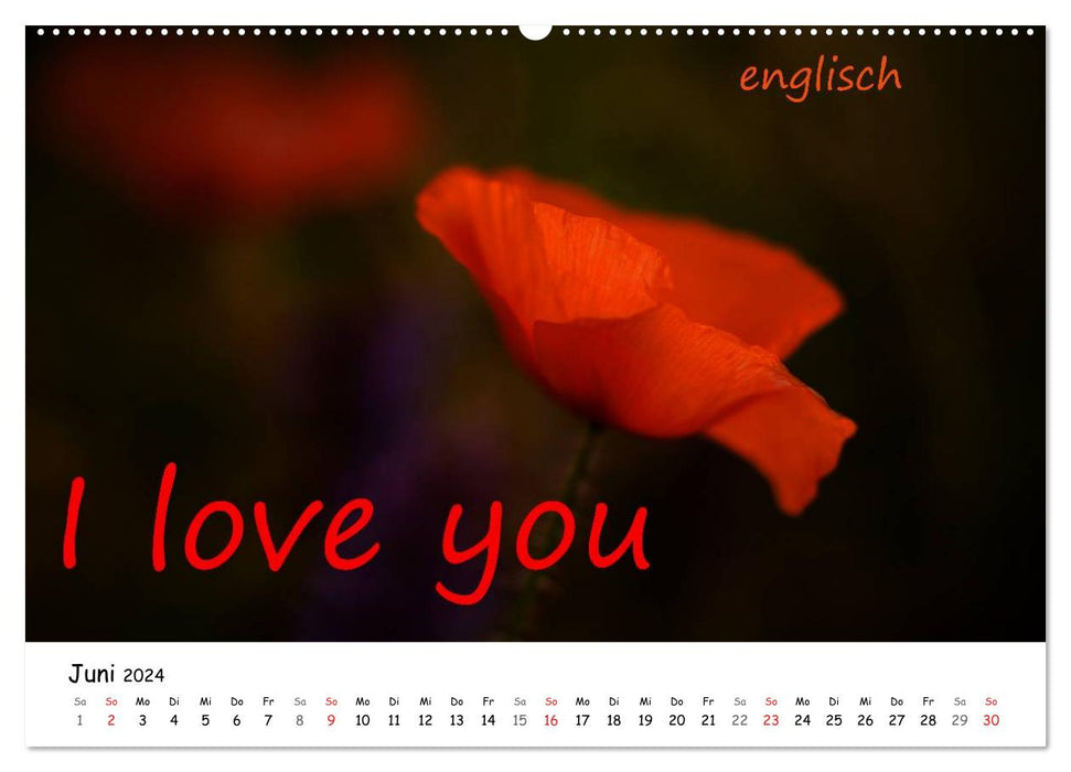 I love you (CALVENDO Premium Wall Calendar 2024) 