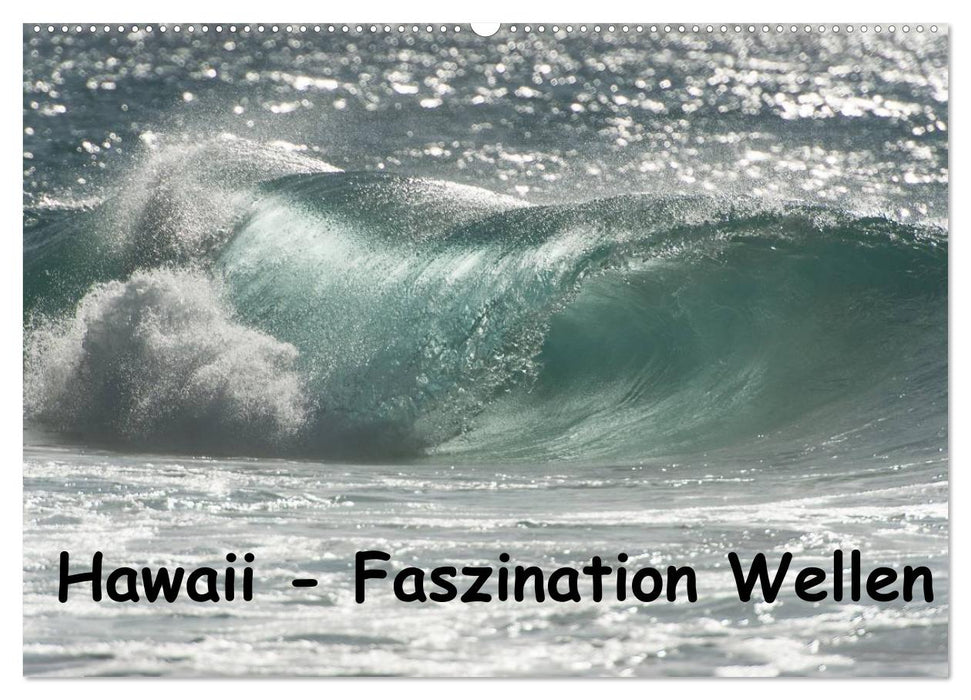 Hawaï – Fascination avec les vagues (Calendrier mural CALVENDO 2024) 