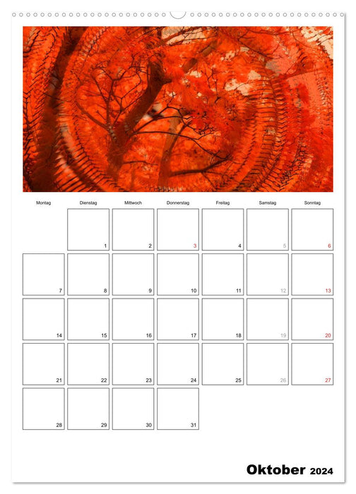 Illusions of colors - Dein Terminplaner (CALVENDO Wandkalender 2024)