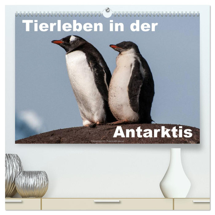 Tierleben in der Antarktis (CALVENDO Premium Wandkalender 2024)