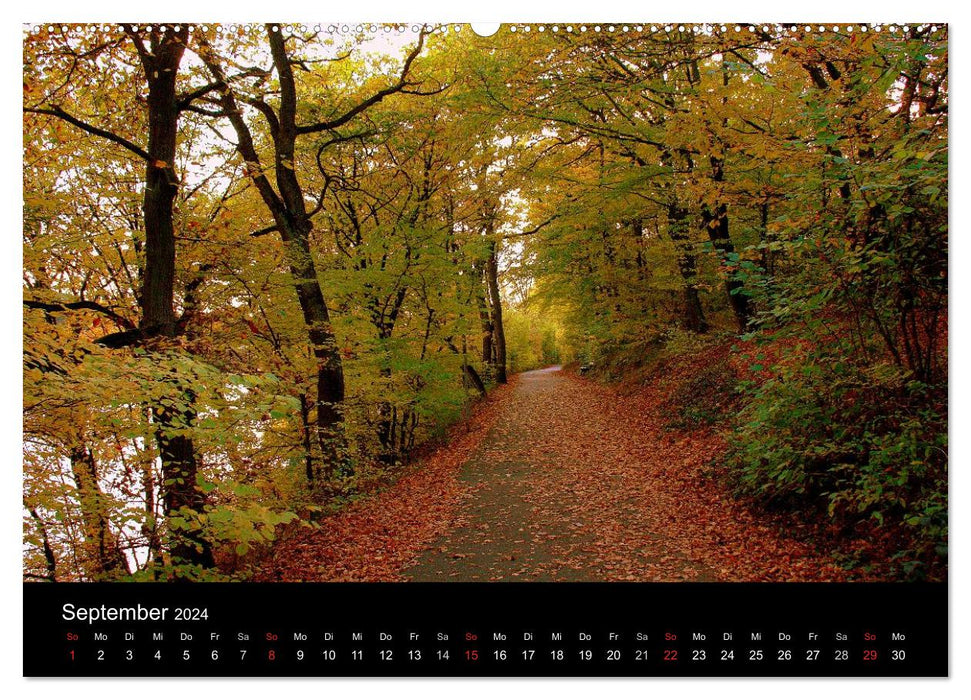 Indian Summer - The colors of autumn (CALVENDO Premium Wall Calendar 2024) 