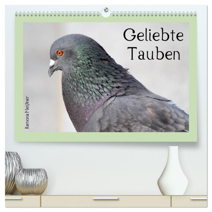 Geliebte Tauben (CALVENDO Premium Wandkalender 2024)