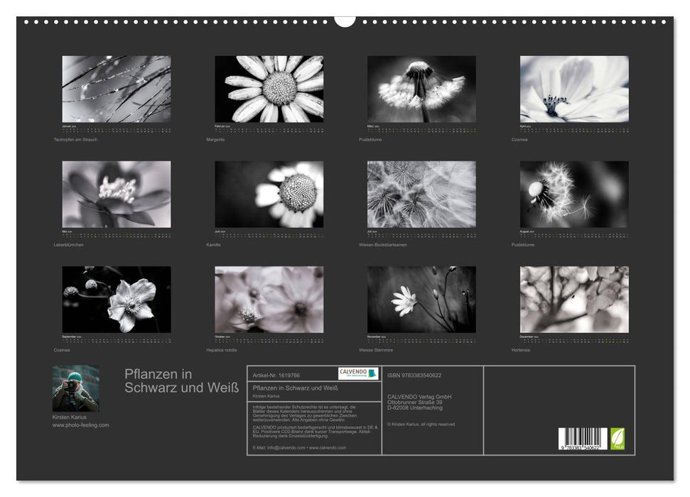 Pflanzen in Schwarz und Weiß (CALVENDO Wandkalender 2024)