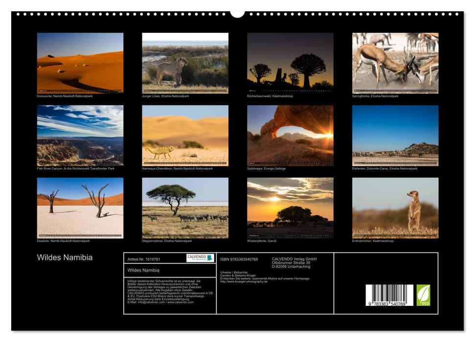 Wildes Namibia (CALVENDO Premium Wandkalender 2024)