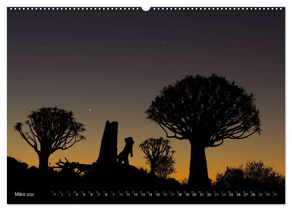 Wildes Namibia (CALVENDO Premium Wandkalender 2024)