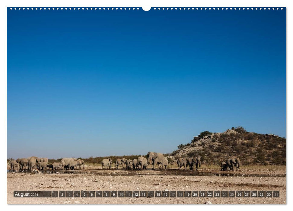 Wildes Namibia (CALVENDO Premium Wandkalender 2024)