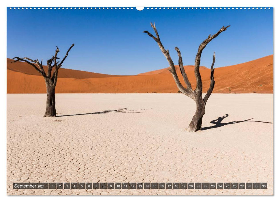 Wildes Namibia (CALVENDO Premium Wandkalender 2024)