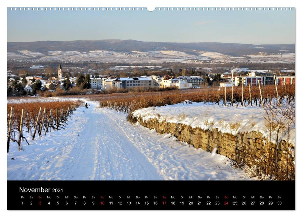 Ingelheim und Umgebung (CALVENDO Wandkalender 2024)