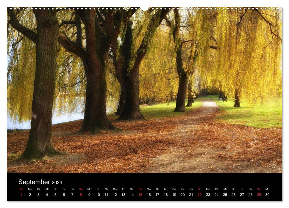 Ingelheim und Umgebung (CALVENDO Wandkalender 2024)