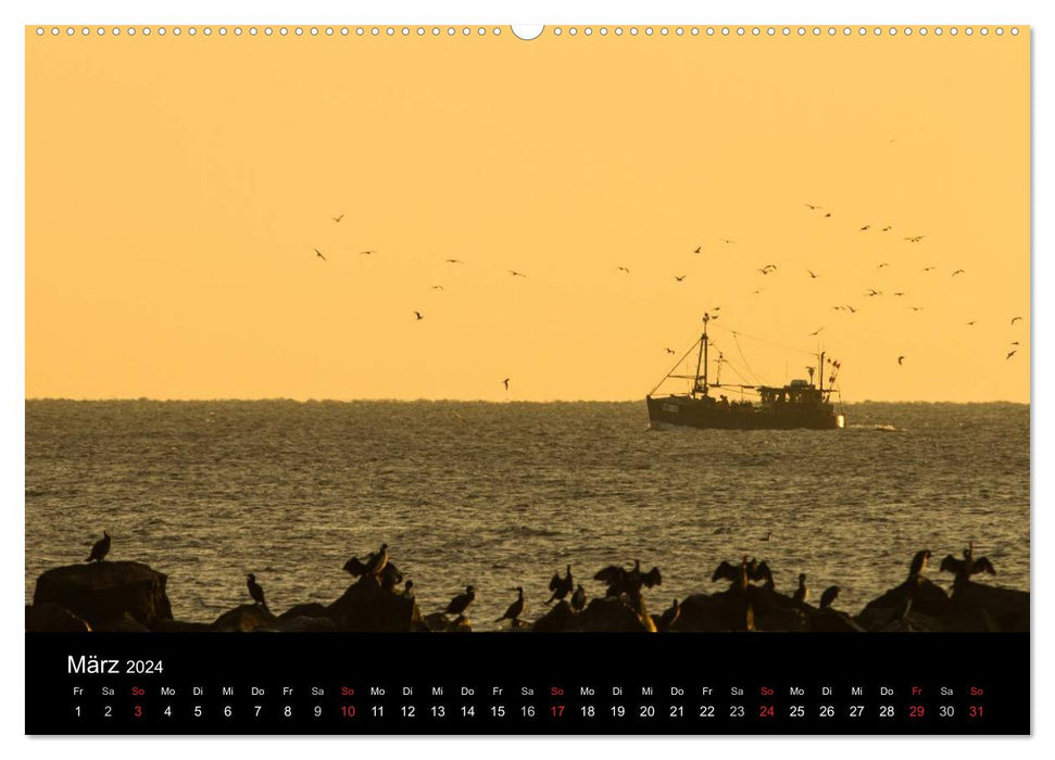 Impressions de l'île de Rügen de la mer Baltique (calendrier mural CALVENDO Premium 2024) 