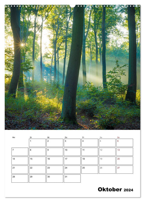 Usedom - Inseltraum im Norden (CALVENDO Premium Wandkalender 2024)