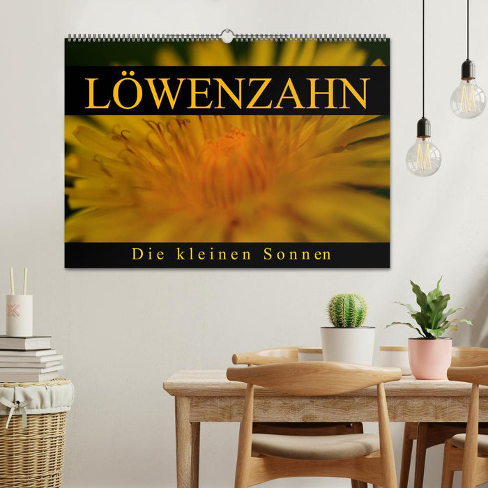 Löwenzahn - Die kleinen Sonnen (CALVENDO Wandkalender 2024)