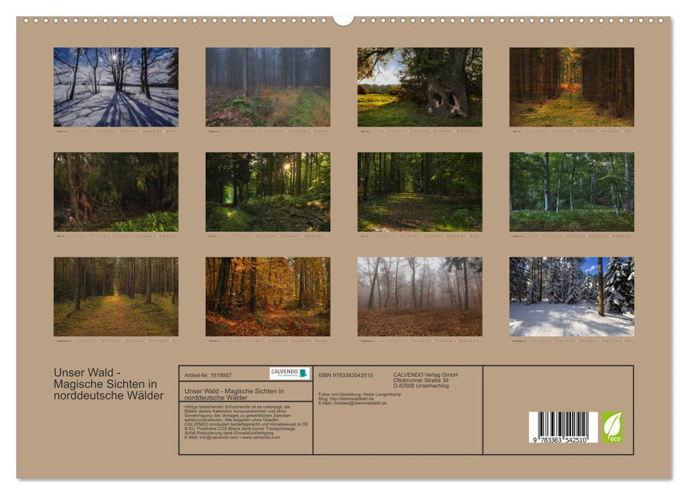 Unser Wald - Magische Sichten in norddeutsche Wälder (CALVENDO Premium Wandkalender 2024)