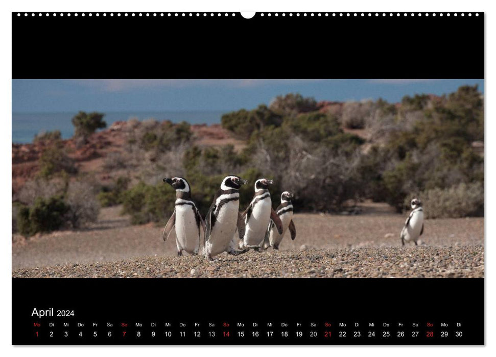 Patagonien - Ungezähmtes Land (CALVENDO Premium Wandkalender 2024)
