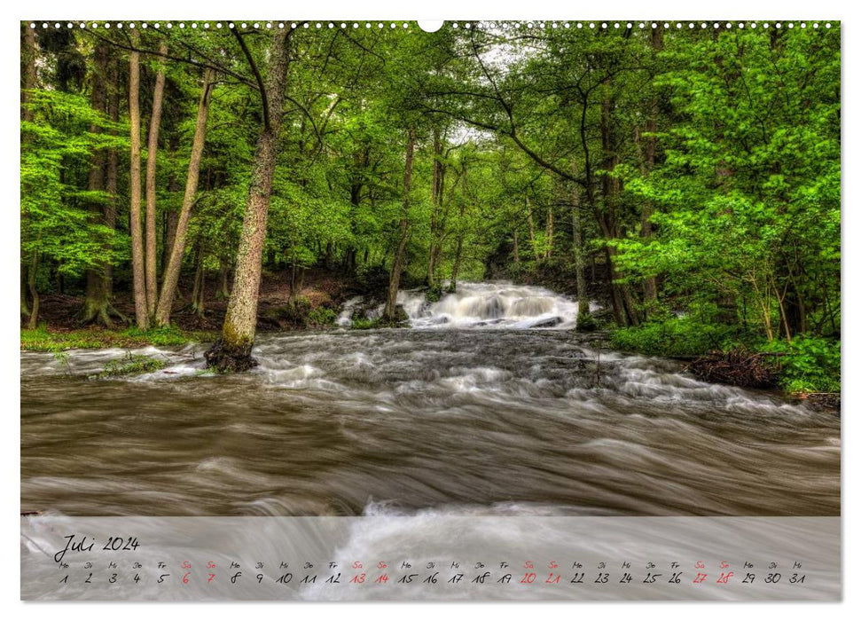 Le Selketal dans le Harz (Calendrier mural CALVENDO Premium 2024) 