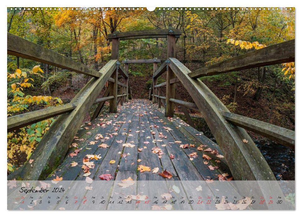 Das Selketal im Harz (CALVENDO Premium Wandkalender 2024)