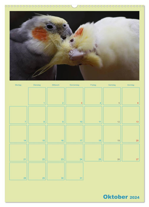 Bird friendships / planner (CALVENDO wall calendar 2024) 