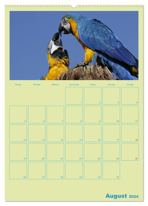 Vogelfreundschaften / Planer (CALVENDO Wandkalender 2024)