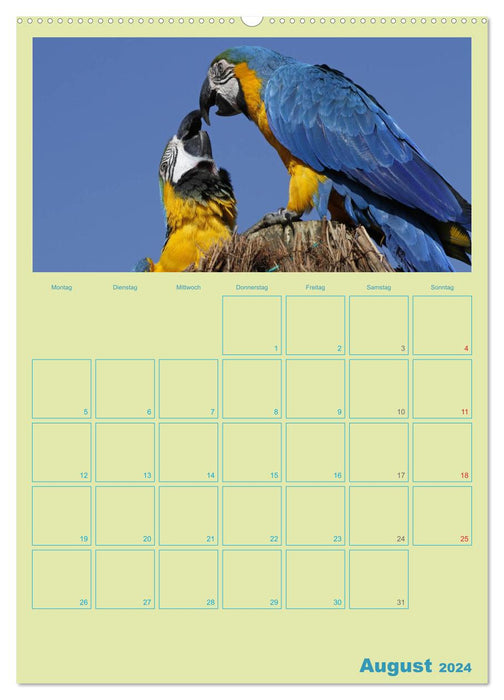 Bird friendships / planner (CALVENDO wall calendar 2024) 