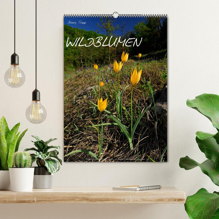 WILDFLOWERS (CALVENDO wall calendar 2024) 