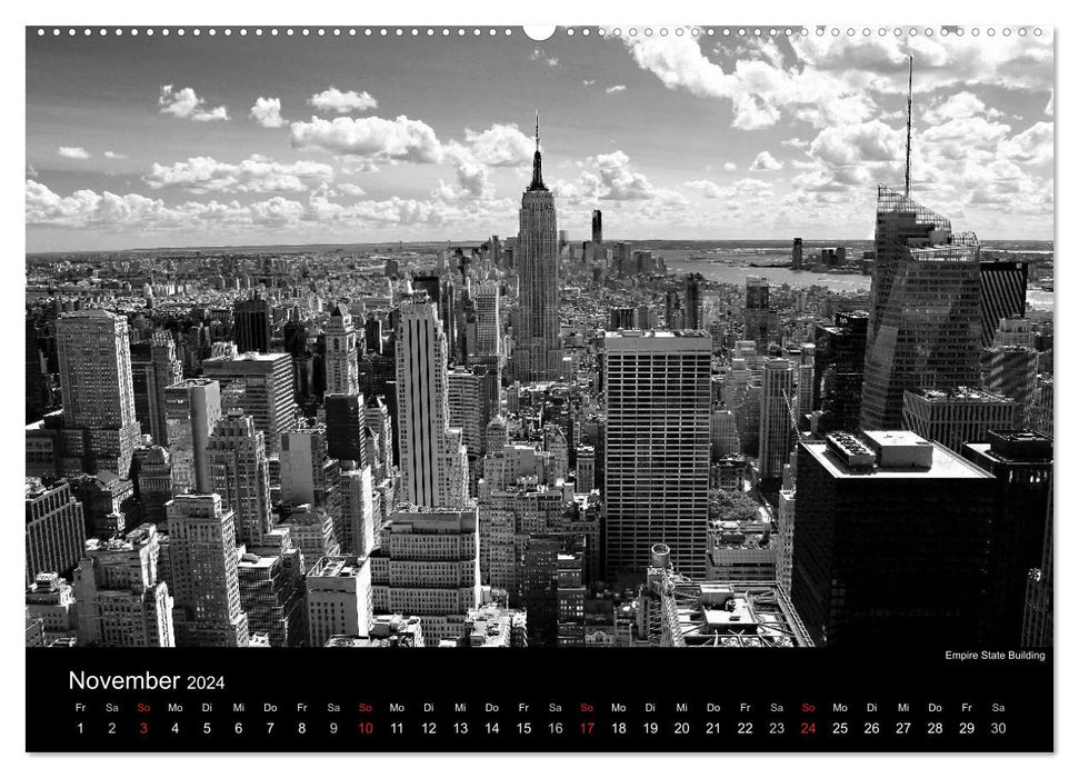 New York (Calendrier mural CALVENDO Premium 2024) 