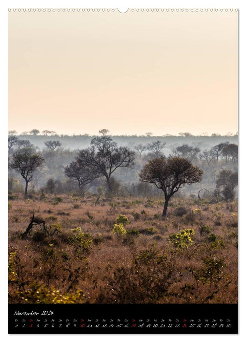 Südafrika - Sehenswerte Panorama Route (CALVENDO Wandkalender 2024)