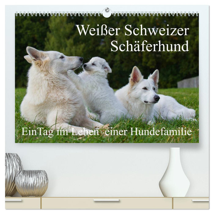 Berger Blanc Suisse - Une journée dans la vie d'une famille de chiens (Calendrier mural CALVENDO Premium 2024) 
